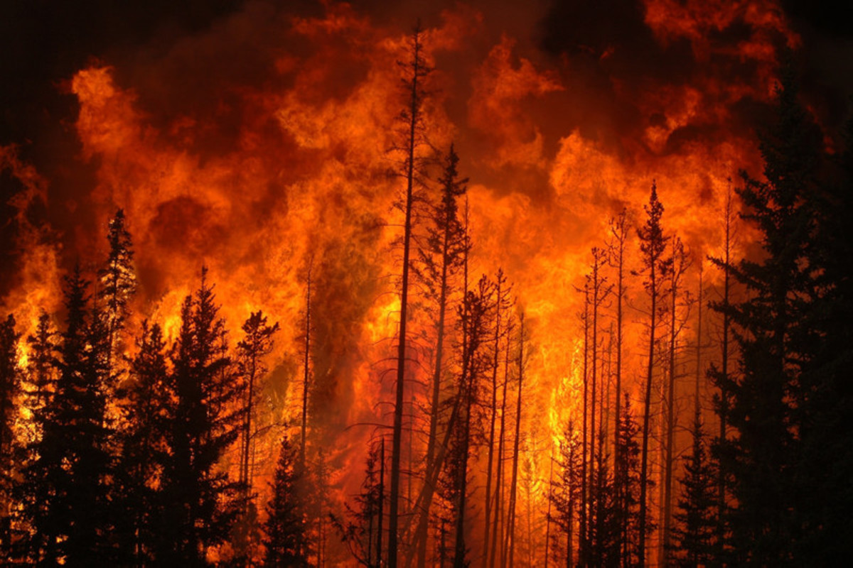 Regione Campania: Protezione Civile, approvato Piano Antincendio boschivo 2022-2024, 19 milioni€ per quest’anno
