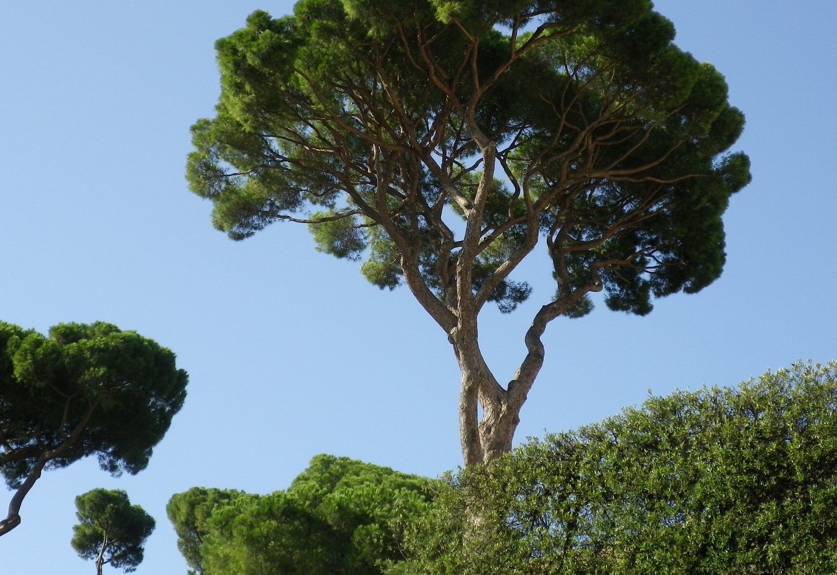 Salerno: Sinistra Italiana, verde pubblico ed affidamento appalto, conferenza stampa