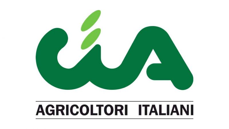 Avellino: Camera di Commercio Irpinia Sannio, Cia- Agricoltori Italiani richiesta fine commissariamento, conferenza stampa  