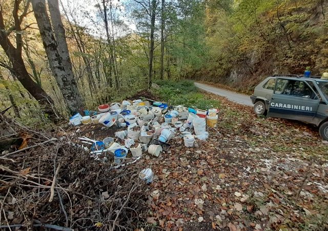 Acerno: controlli ambientali, smaltimento rifiuti in area boscata