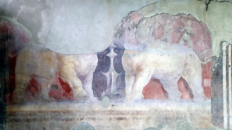 Pompei: Parco archeologico, periodo natalizio alla scoperta della casa del Larario di Achille