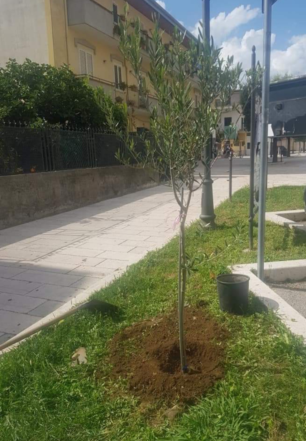 Castel San Giorgio:  un albero per ogni nuovo nato