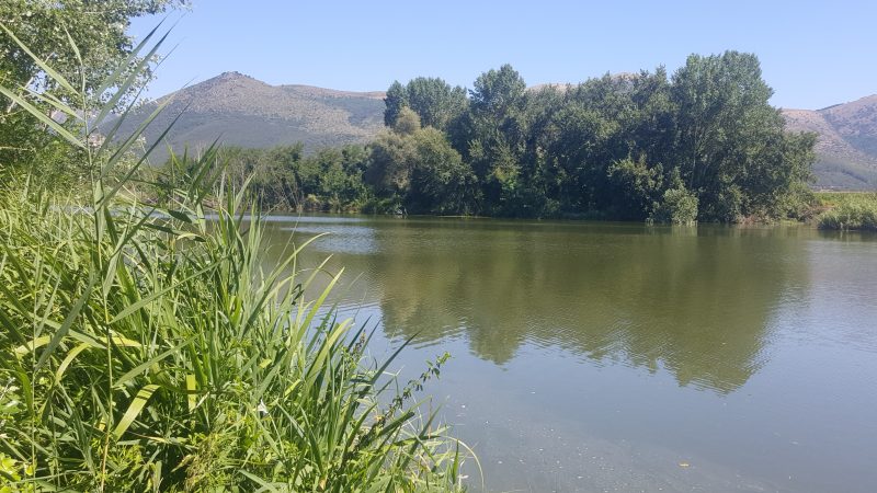 Campania: Bollettino acque, Fiumi Garigliano, Volturno, Sarno e Sele, calano ancora livelli idrometrici