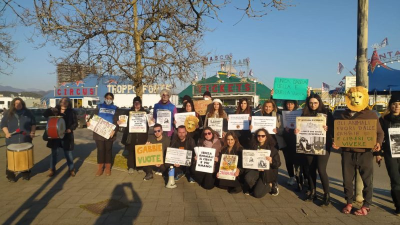 Salerno: Veg, manifestazione contro presenza animali nei circhi