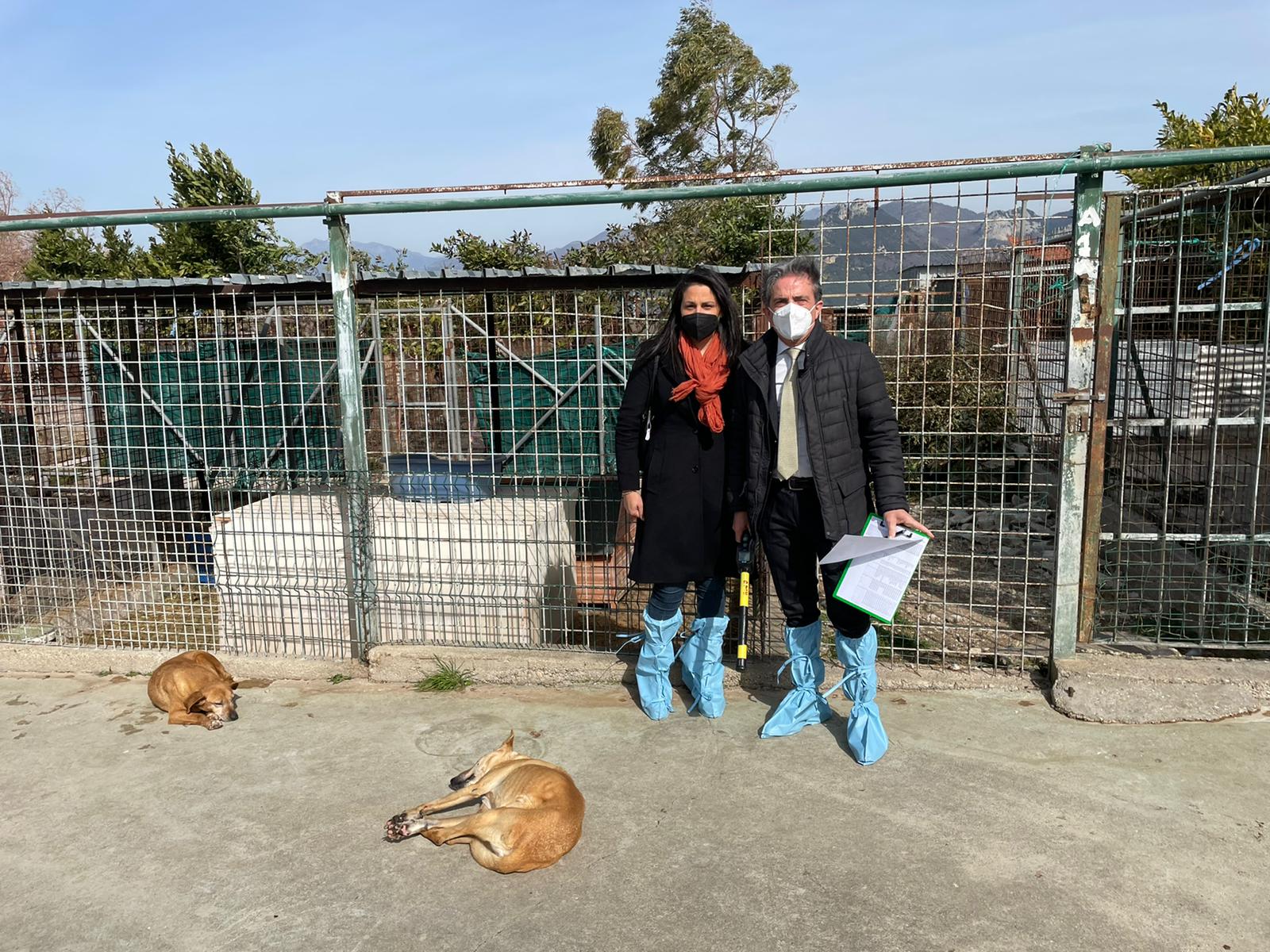 Eboli: assessore comunale La Brocca “Sterile polemica su gestione cani”