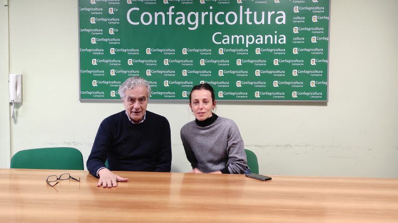 Campania: nasce Confagricoltura Donna Campania, Presidente Lucia Rinaldi