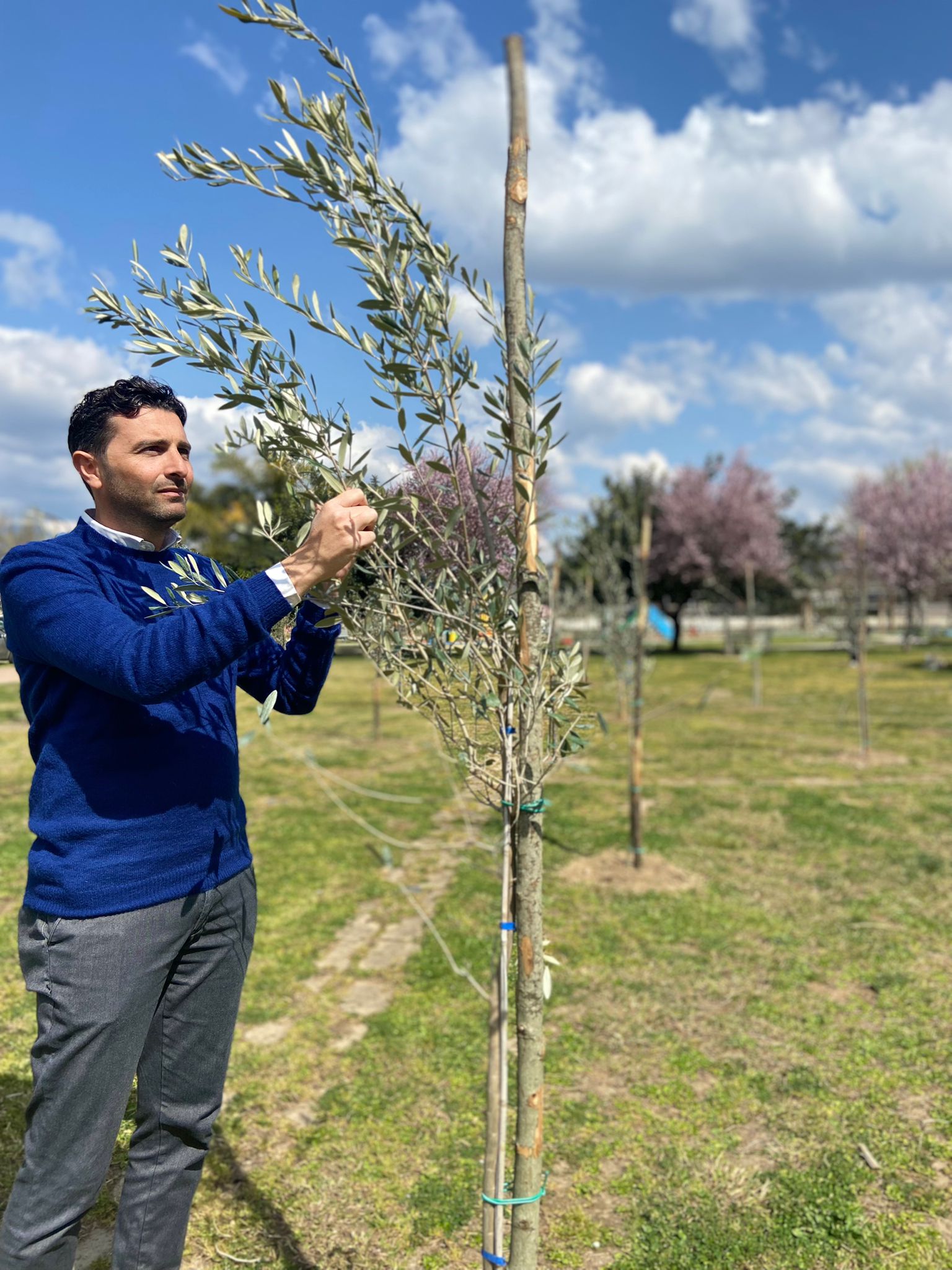 Pontecagnano Faiano: Rotary Club Salerno Picentia, 51 alberi donati a città