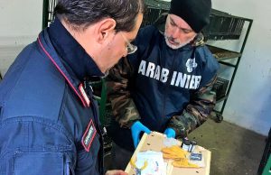 Salerno: Carabinieri Forestale, conclusa campagna “L’Anello Mancante”
