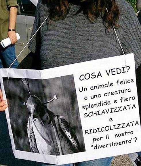 Salerno: “Crocifisso Ritrovato”, Veg “Ancora animali usati”