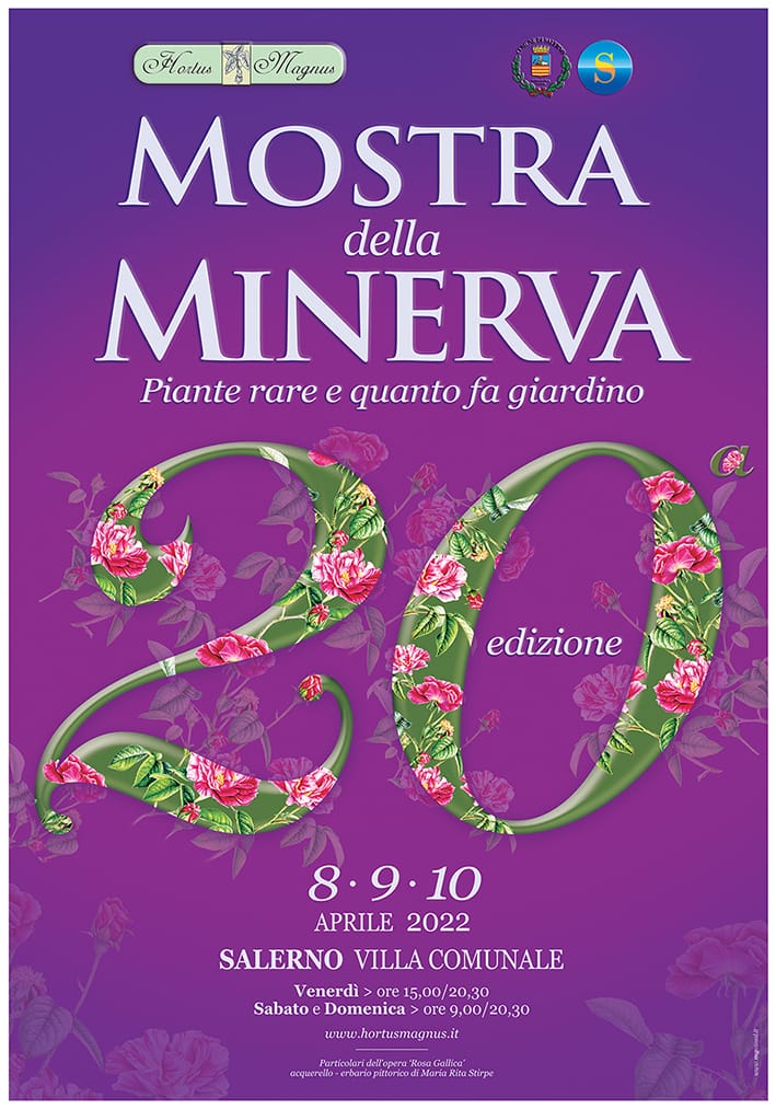 Salerno: XX ediz. “Mostra della Minerva”, conferenza stampa