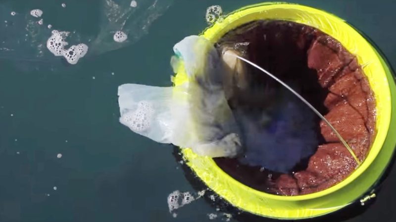 Salerno: Rotary Club, presentazione progetto Nereus per ridurre plastica nel Golfo  