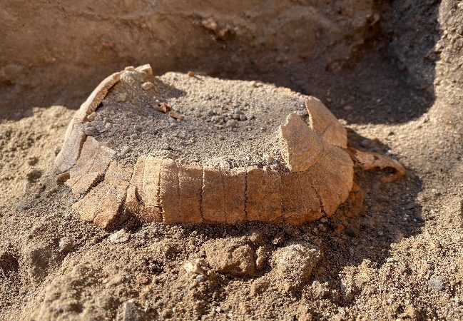 Pompei: ritrovamento di testuggine e suo uovo di 2000 anni fa  