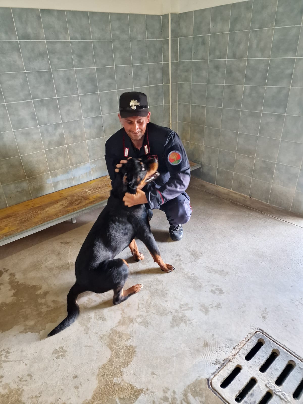 Nocera Inferiore: Forestale, controlli su territorio, salvato cucciolo di Rottweiler