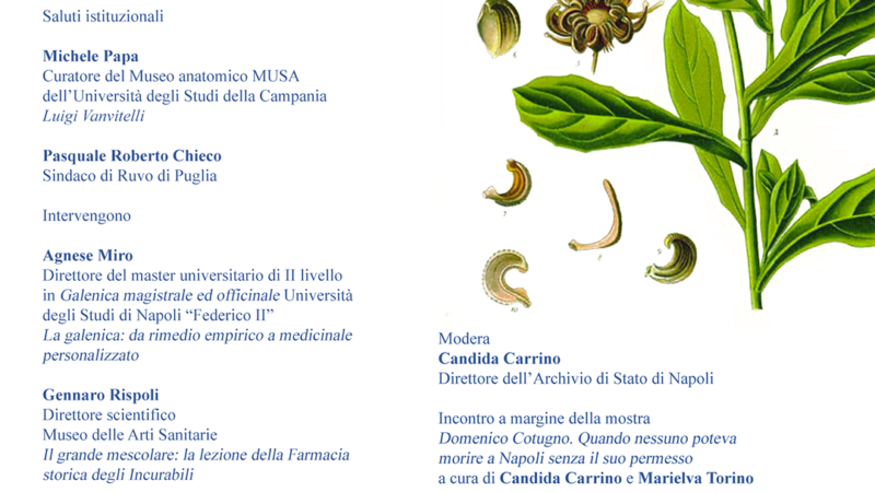Napoli: all’Archivio di Stato commemorazione bicentenario morte di Domenico Cotugno