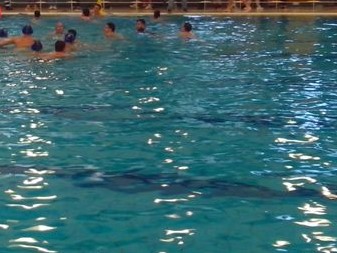 Salerno: Rari Nantes, Presidente Enrico Gallozzi su batteri e legionella alla piscina Vitale