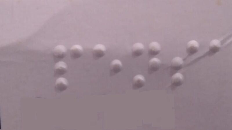 Giornata mondiale dell’alfabeto braille, World Braille Day        