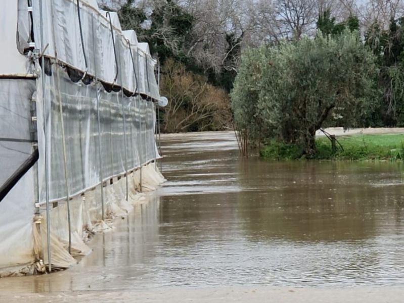 Campania: Confagricoltura, maltempo, enormi danni agricoli