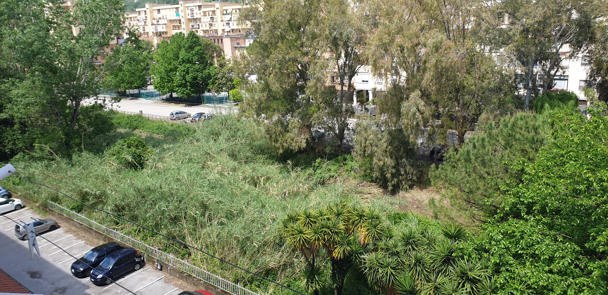 Salerno: consigliere comunale Pessolano “Pulire torrenti cittadini durante l’estate, programmare piano d’azione”