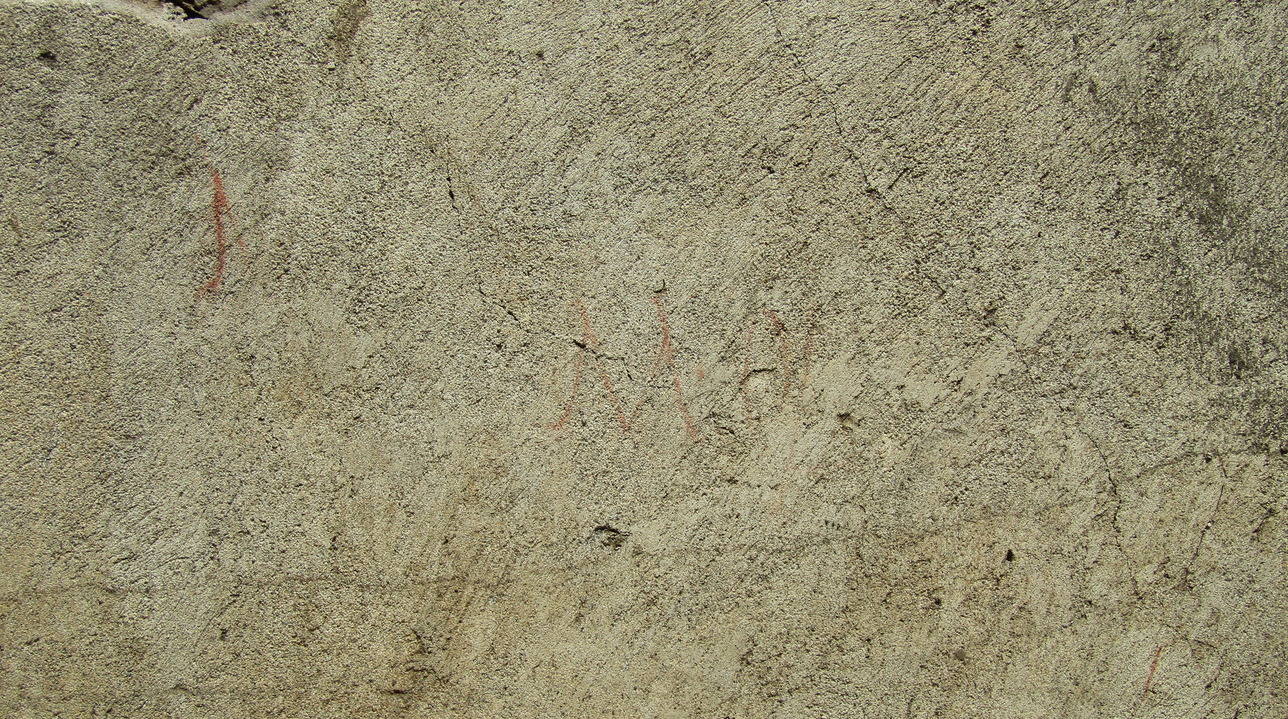 Pompei: Parco Archeologico, scoperte iscrizioni elettorali in casa