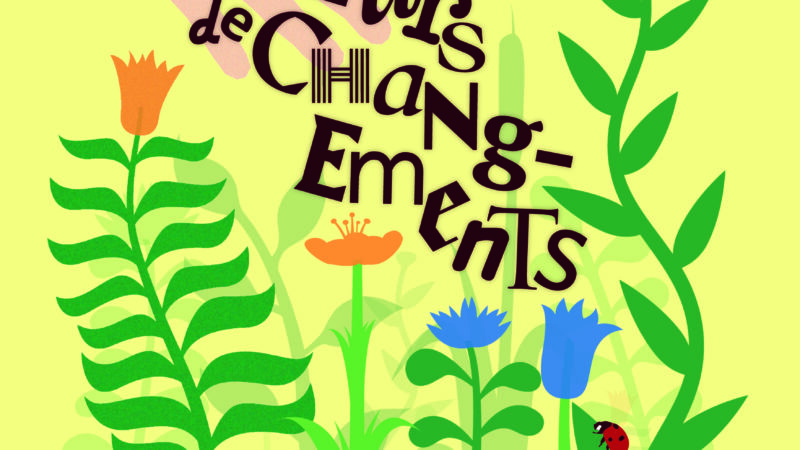 Lourdes: Giornata di tutela ambientale ecologica “Seminatori di cambiamento”