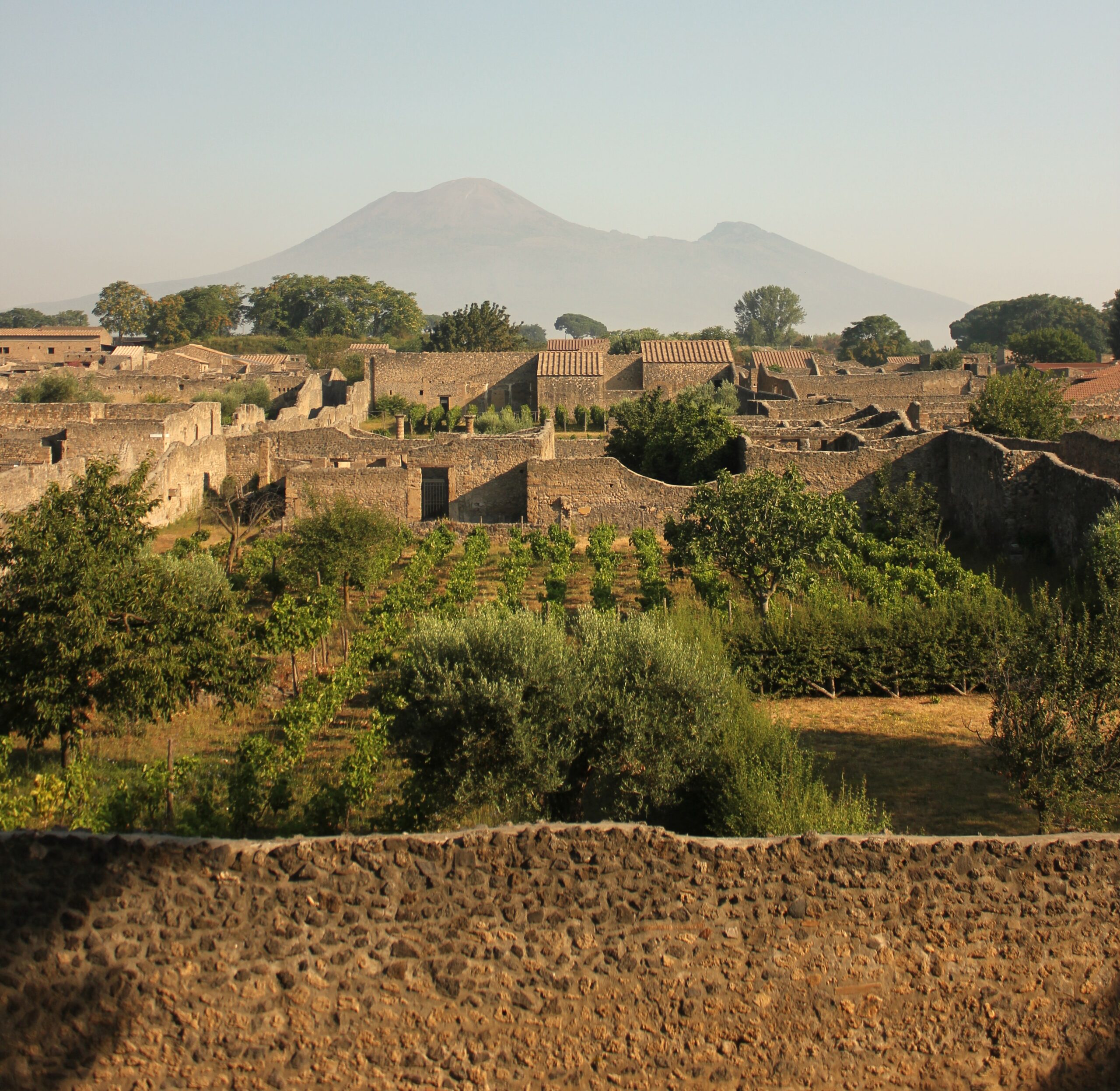 Pompei: a olio PÙMPAIIA, IGP Campania