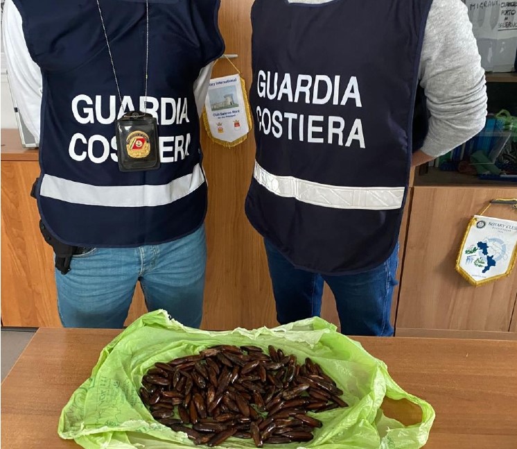 Salerno: Capitaneria di Porto-Guardia Costiera, sequestro datteri di mare