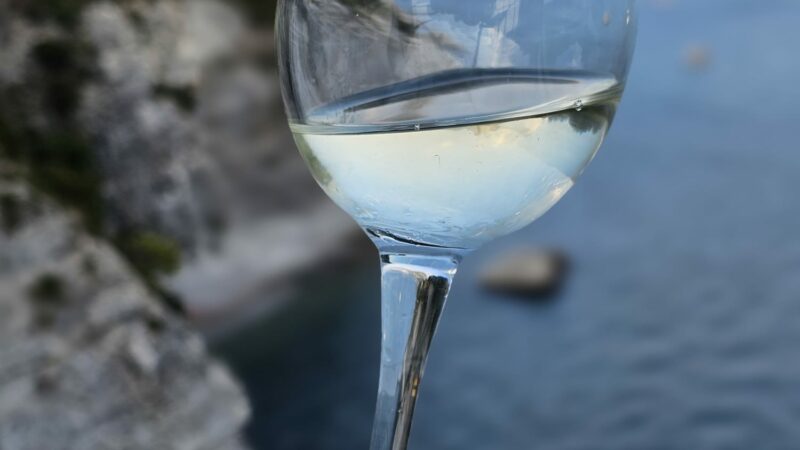 Salerno: oltre 500 vini in degustazione, vini premiati con Foglia d’oro