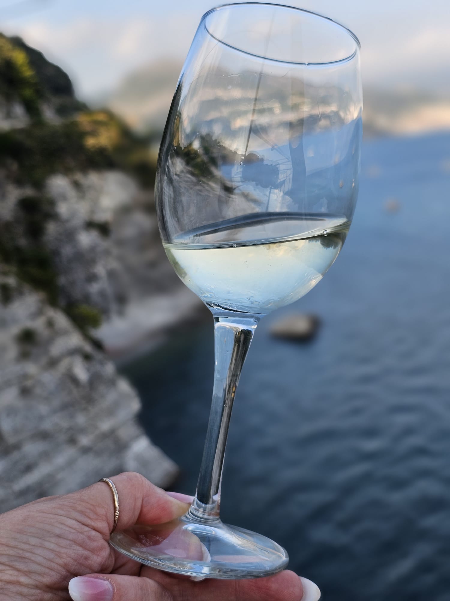 Salerno: oltre 500 vini in degustazione, vini premiati con Foglia d’oro