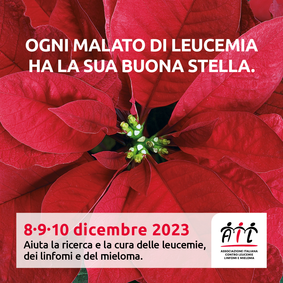 Salerno: AIL, stelle di Natale in piazza contro leucemia