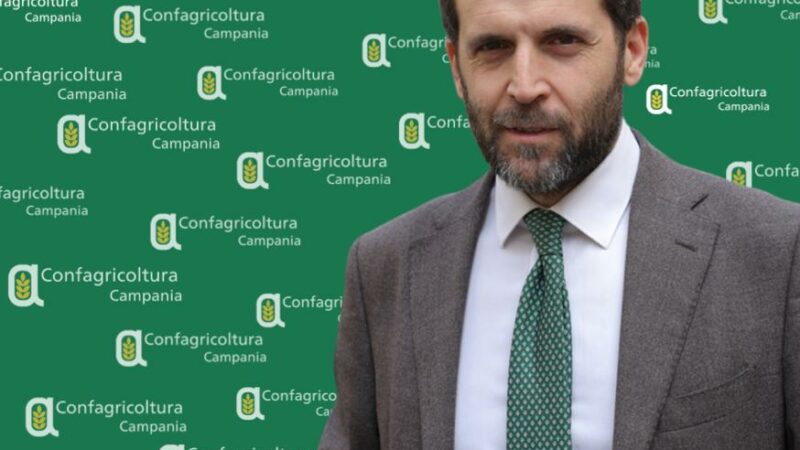 Campania: Confagricoltura, Paolo Conte nuovo direttore regionale