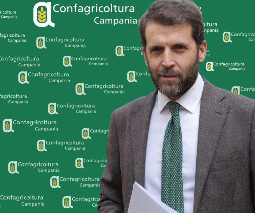 Campania: Confagricoltura, Paolo Conte nuovo direttore regionale