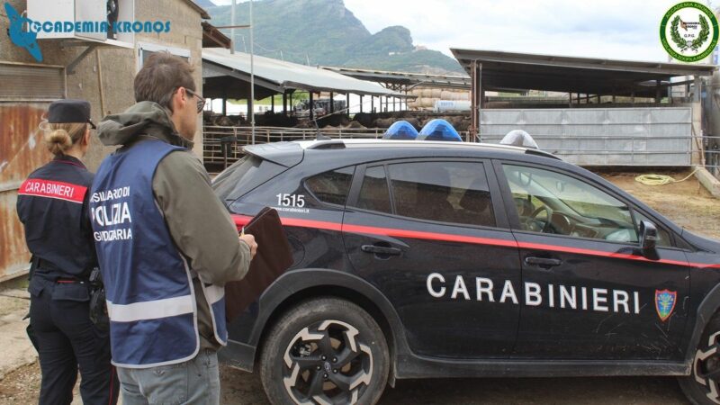 Capaccio Paestum: Carabinieri Forestali – Guardie AK, sequestro terreni aziendali, denunciato imprenditore