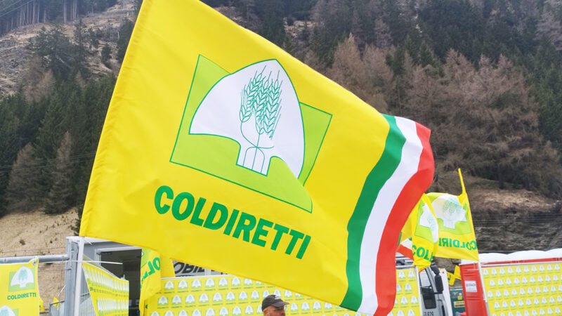 Napoli: Coldiretti, 80 anni di attività, assemblea agricoltori