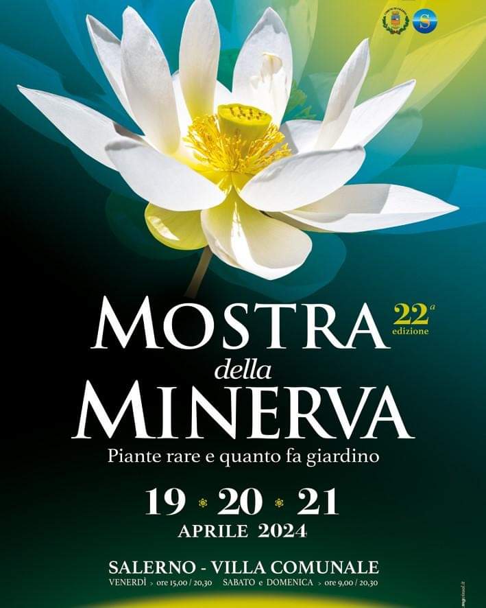 Salerno: Mostra della Minerva, conferenza stampa