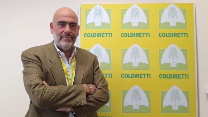 Campania: Coldiretti “Plauso per stop a fotovoltaico”