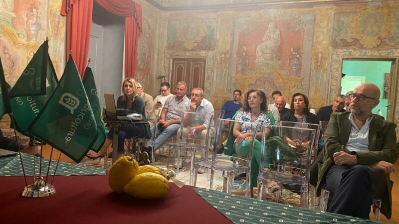 Vietri sul Mare: Confagricoltura, presa impronta digitale limone Costa d’Amalfi IGP